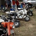 2008 Cookeville Show 044