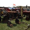 2008 Crossville Show 027