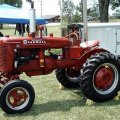 2008 Crossville Show 039