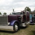 2008 Crossville Show 064