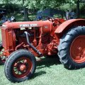 2009 Crossville Show 079