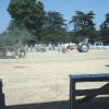 2002 Crossville Show 021