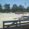 2002 Crossville Show 022