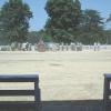 2002 Crossville Show 024
