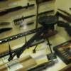 Kalamazoo MI AirZoo 2005 002